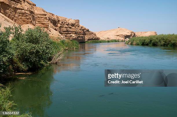 euphrates river at dura europos, syria - mesopotamian 個照片及圖片檔