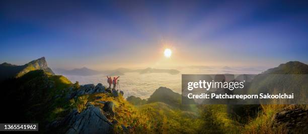 morning lover - high section stock pictures, royalty-free photos & images
