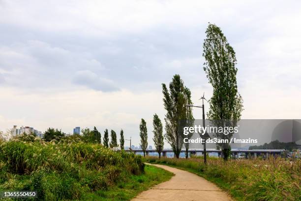 landscape of han river park, seoul, south korea - han river stock-fotos und bilder