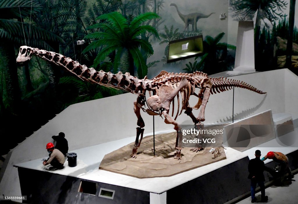 'Dinosaur In Shandong, Back To The Cretaceous Period' Exhibition To Open In Jinan