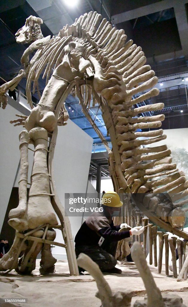 'Dinosaur In Shandong, Back To The Cretaceous Period' Exhibition To Open In Jinan