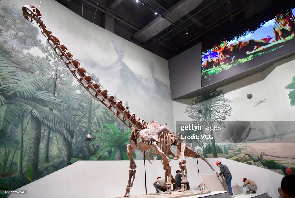 'Dinosaur In Shandong, Back To The Cretaceous Period' Exhibition To Open In Jinan