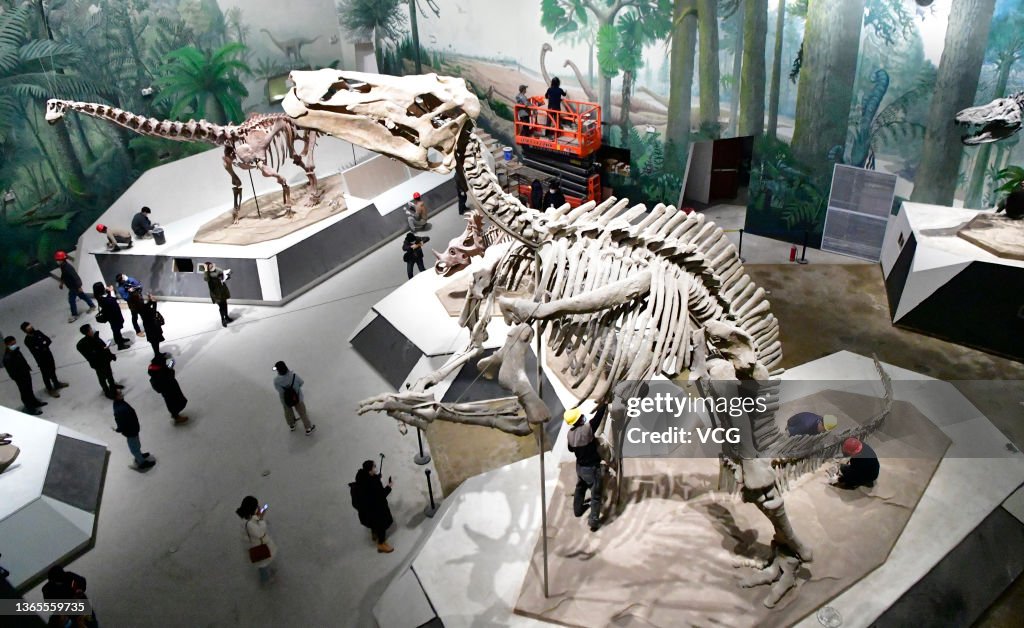 'Dinosaur In Shandong, Back To The Cretaceous Period' Exhibition To Open In Jinan