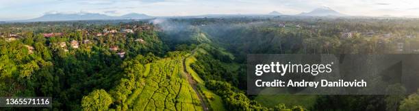 panorama of sunrise over campuhan ridge walk in ubud. - ubud stock pictures, royalty-free photos & images