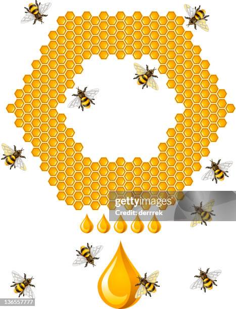 honey bee - queen bee stock illustrations