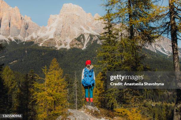female traveler hiking in the dolomites alps mountains with her dog in backpack - shoes top view stockfoto's en -beelden