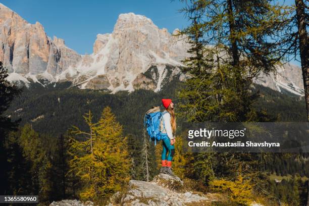 wanderfrau in den dolomiten alpen mit ihrem hund im rucksack - südtirol stock-fotos und bilder
