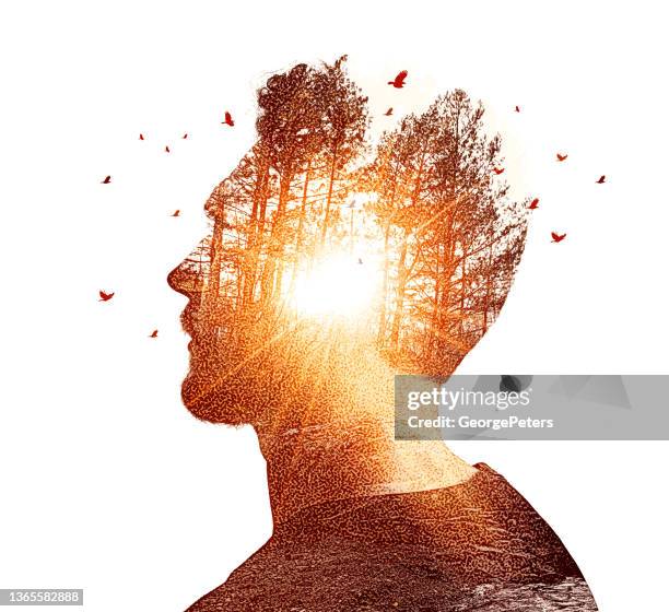 multiple exposure of young man and nature - time lapse stock illustrations