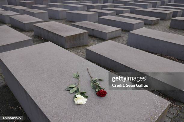 Roses lie at the Memorial to the Murdered Jews of Europe, also known as the Holocaust Memorial, on January 19, 2022 in Berlin, Germany. On January 20...