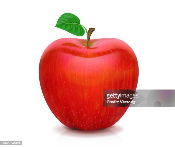 illustrazioni stock, clip art, cartoni animati e icone di tendenza di mela rossa isolata - realism