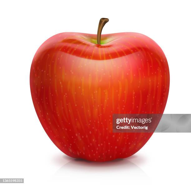 red apple isolated - juicy stock illustrations