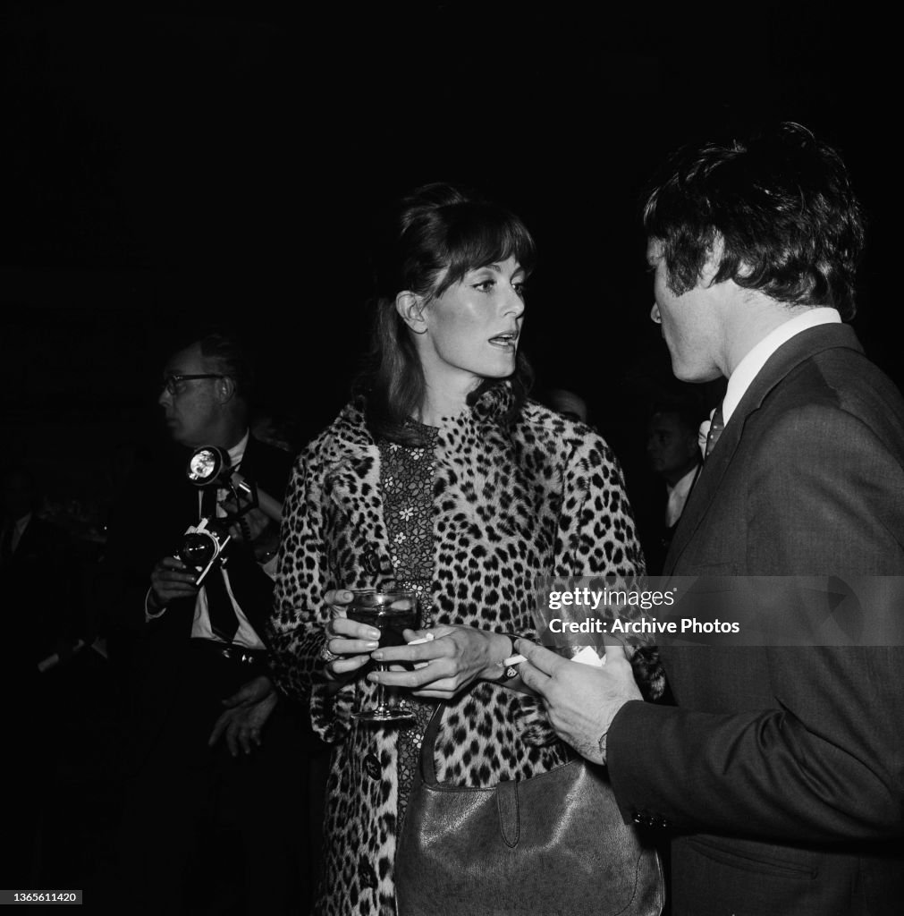 Camelot Stars