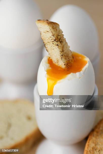 boiled egg with toasts. - egg yolk stock pictures, royalty-free photos & images