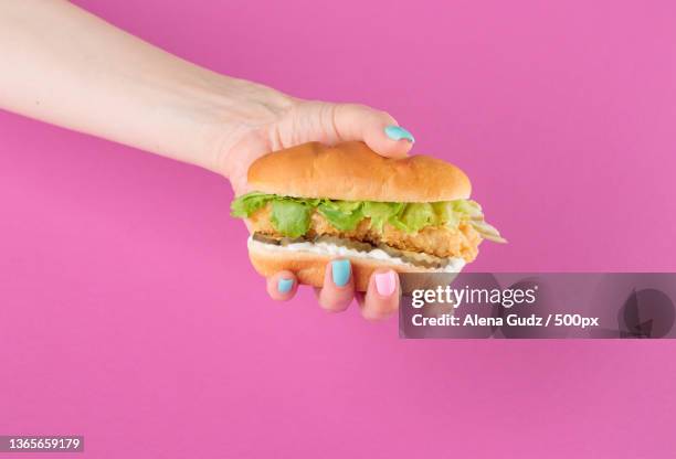 burger on a pink background,cropped hand of woman holding burger against pink background - burger portrait photos et images de collection