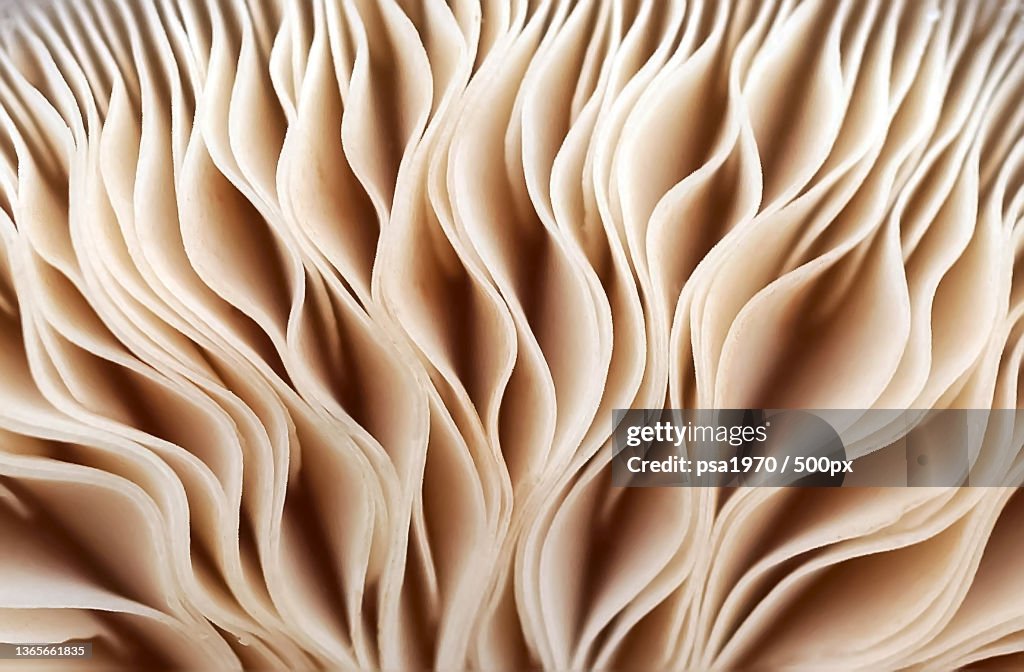 Full frame shot of abstract pattern