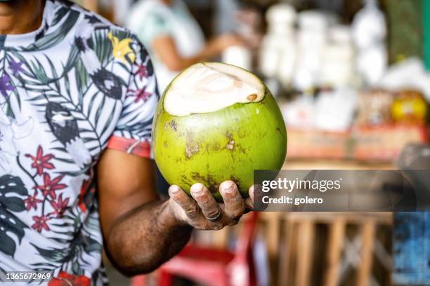 marktverkäufer hält frischen kokos in versteckten händen - kokosnuss stock-fotos und bilder