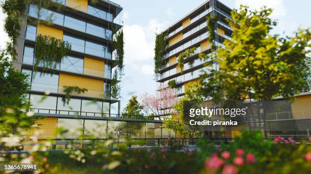 green leben - urban gardening stock-fotos und bilder