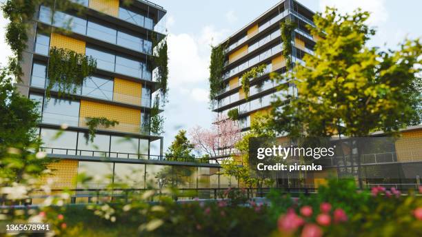 green living - dakterras stockfoto's en -beelden