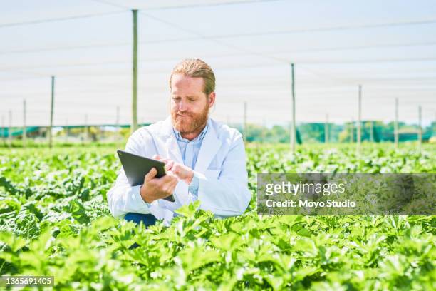 photo d’un botaniste utilisant une tablette numérique alors qu’il inspectait les cultures d’une ferme - botaniste photos et images de collection