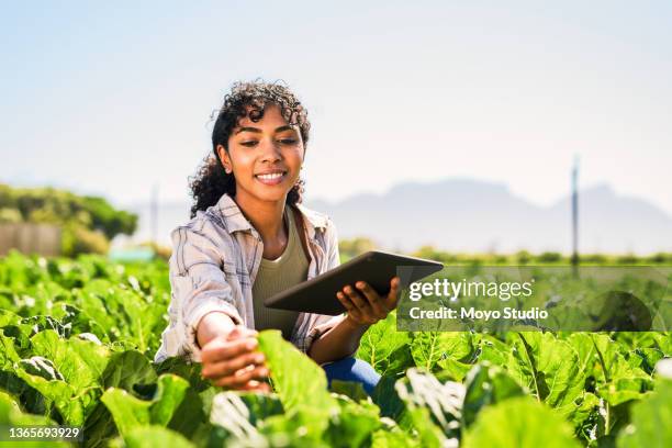 aufnahme einer jungen frau mit einem digitalen tablet bei der inspektion der ernte auf einem bauernhof - farming stock-fotos und bilder