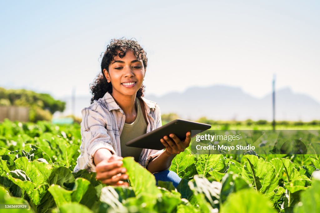 Foto de una mujer joven usando una tableta digital mientras inspeccionaba cultivos en una granja