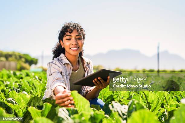農場で作物を検査しながらデジタルタブレットを使用して若い女性のショット - サスティナブル ストックフォトと画像
