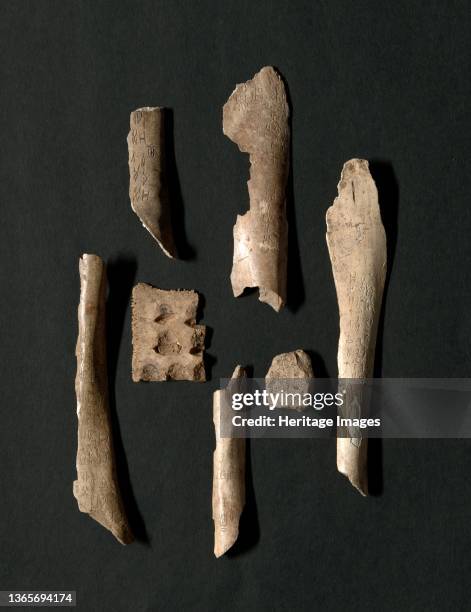 Oracle Turtle Oracle Bones Photos et images de collection - Getty Images