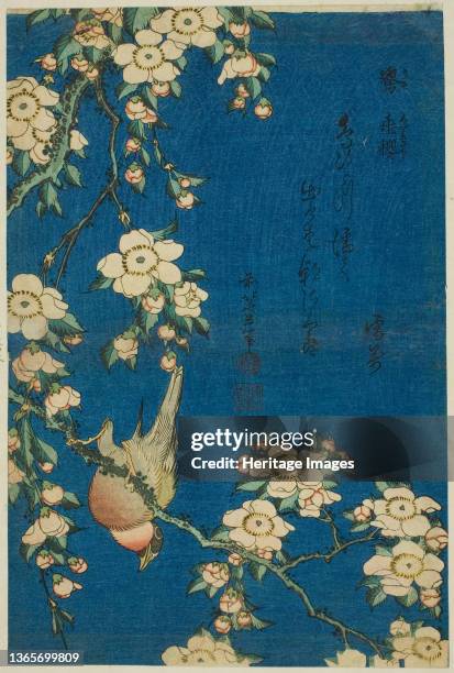 Bullfinch and Weeping Cherry , from an untitled series of flowers and birds, Japan, circa 1834. Artist Hokusai.