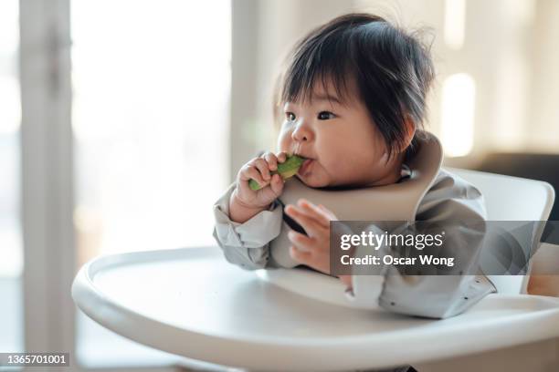 baby having her first meal by herself sitting in high chair - baby eating stock pictures, royalty-free photos & images