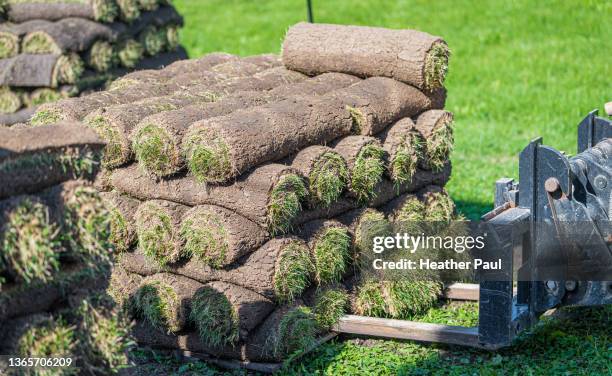 grass rolls on a forklift being stacked in a yard - anbau von rasen stock-fotos und bilder