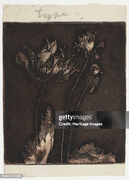 Theodore Roussel Photos and Premium High Res Pictures - Getty Images