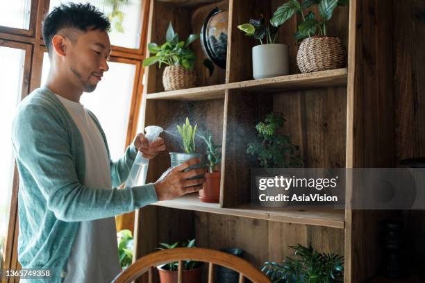 young asian man taking care of his plants at balcony at home, watering and potting houseplants with care. enjoying his time at cozy home. going green lifestyle - 室內植物 個照片及圖片檔