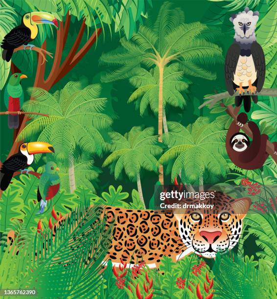 stockillustraties, clipart, cartoons en iconen met jaguar in tropical forest - harpij arend