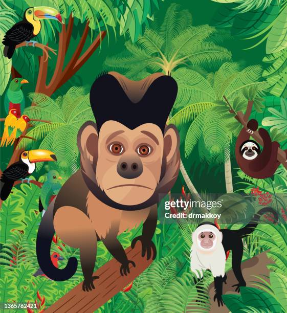 tufted capuchin monkey in forest - brown capuchin monkey stock illustrations