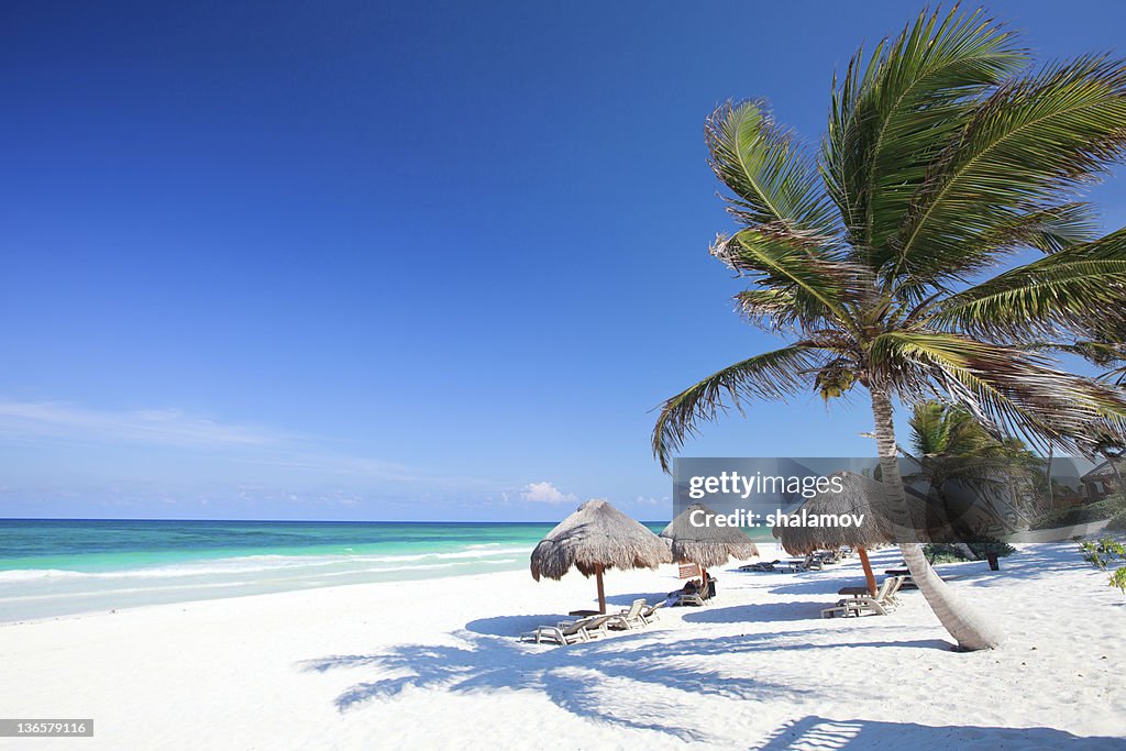 Beautiful Caribbean beach