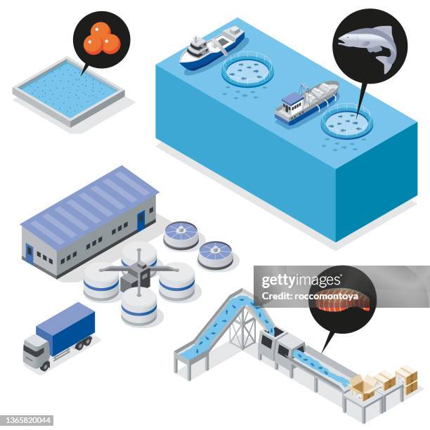 illustrazioni stock, clip art, cartoni animati e icone di tendenza di processo isometrico del pesce - pesca