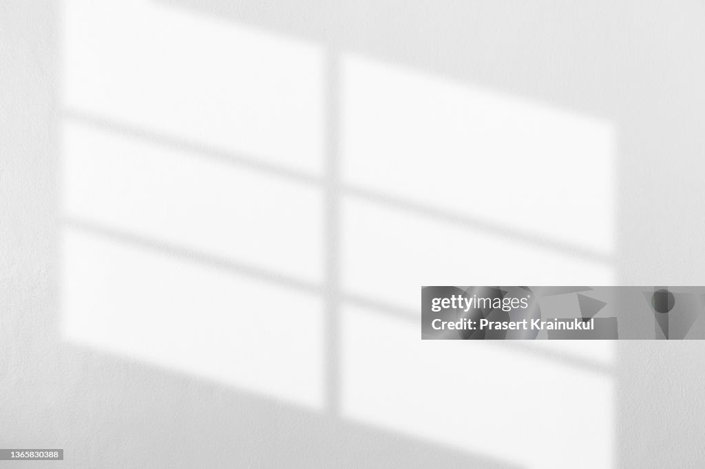 Leave shadow on a white concrete walls.