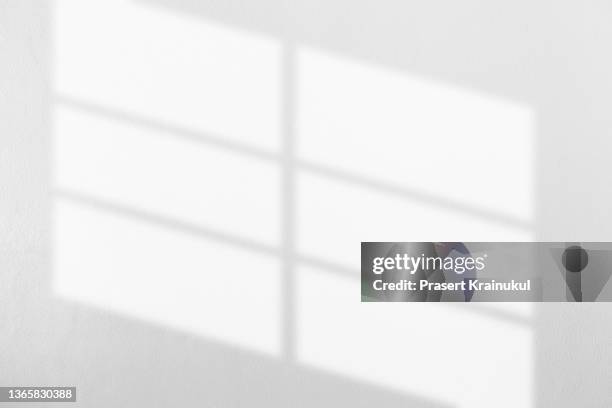 leave shadow on a white concrete walls. - white windows stock pictures, royalty-free photos & images