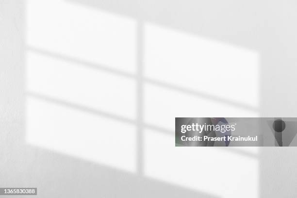 leave shadow on a white concrete walls. - leaf shadow stock pictures, royalty-free photos & images