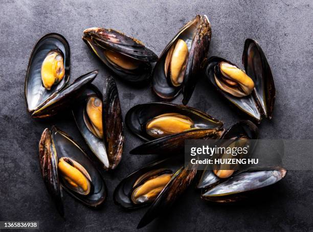 seafood mussels - clams cooked stock-fotos und bilder
