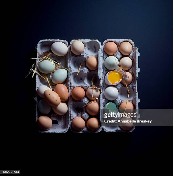 Still Life of Multi-Colored Eggs in Carton