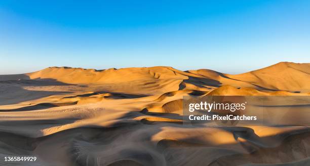 panorama wüstendünen im schatten und licht des sonnenaufgangs - sahara desert stock-fotos und bilder