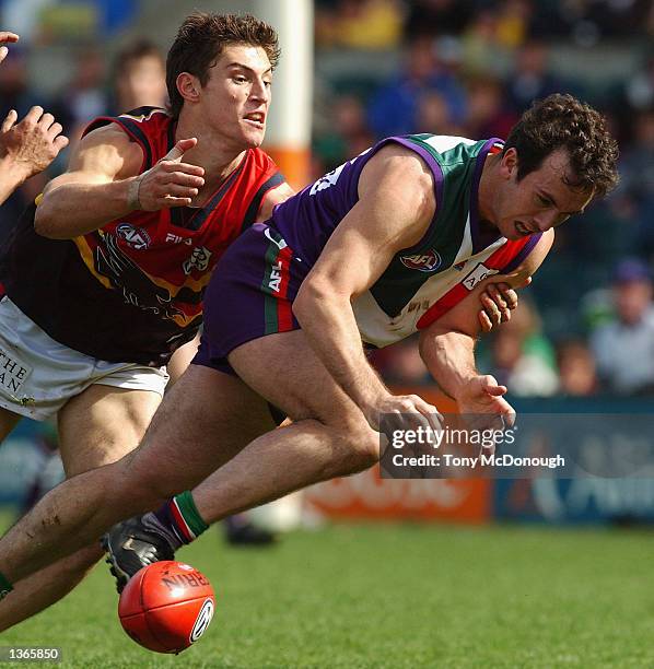 Jason Norrish Jason Norrish Photos and Premium High Res Pictures - Getty Images