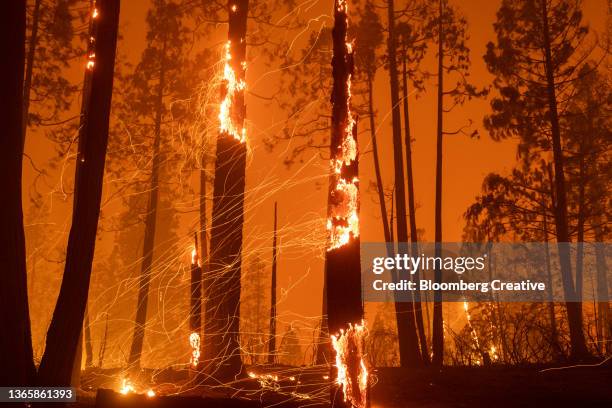 california wildfire - fire natural phenomenon stockfoto's en -beelden