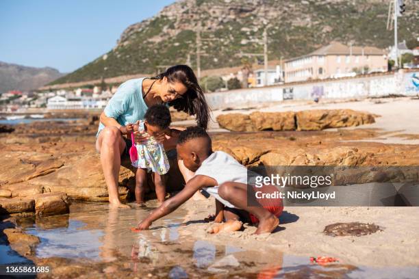 mom and her cute little children exploring a tide pool together - 潮池 個照片及圖片檔