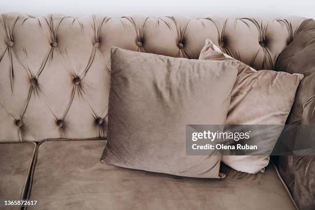 cushions on big velvet sofa. - velluto foto e immagini stock