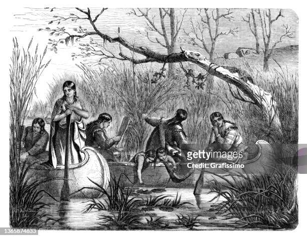 illustrazioni stock, clip art, cartoni animati e icone di tendenza di nativi americani che raccolgono riso selvatico nel fiume 1869 - comanche indian