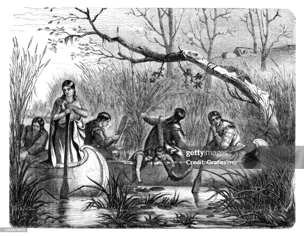 Nativos americanos colhendo arroz selvagem no rio 1869