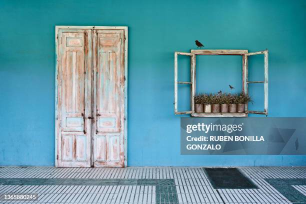 beautiful blue facade with a white wooden door and window with plastic plants in cans and black drawing birds - open window frame stock pictures, royalty-free photos & images
