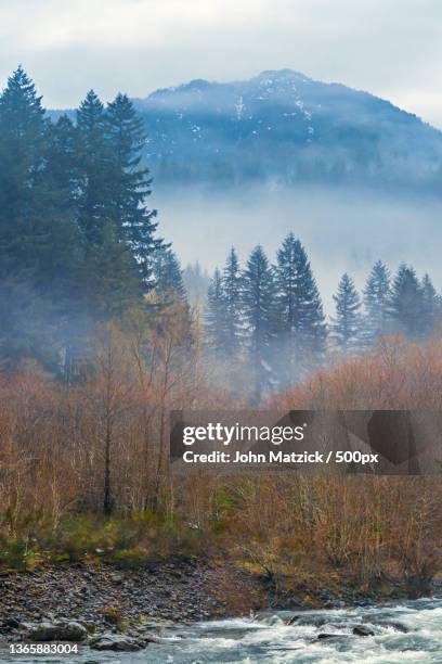 foggy morning in the wilderness,scenic view of lake against sky during winter,rockaway beach,oregon,united states,usa - oregon wilderness stock pictures, royalty-free photos & images